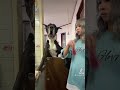 お肉待ちするデカ犬 BIGDOG お肉待ちするデカ犬 BIGDOG