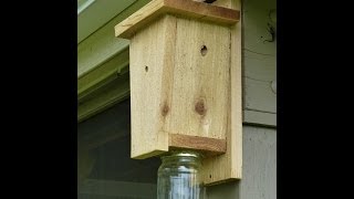 Carpenter Bee Trap YT