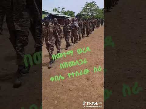 ሰበር ዜና ጀግናው ፋኖ አማራ የተማርካ መከላከያ ሰራዊቱ Ethiopia Subscribe አድርጉ ሰበር ዜና ጀግናው ፋኖ አማራ የተማርካ መከላከያ ሰራዊቱ Ethiopia Subscribe አድርጉ