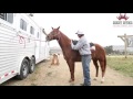 Saddle Pad Fitting - 1" Wool Saddle Pad & Navajo Blanket