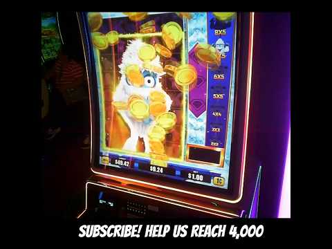 Wild Gold Fish | Casino time & it’s all free‼️😝🎰#shortsfeed #casino #viralvideo #dirtydiana