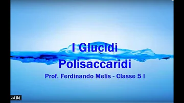 Quali sono le funzioni dei polisaccaridi?