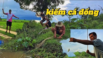 KIẾM CÁ ĐỒNG || anh em bạn bè rủ nhau ra ngoài đồng câu cá và cái kết đắng.