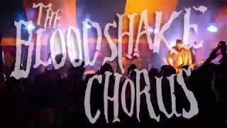 The Bloodshake Chorus - Maui Stage @ Bearded Theory 2019