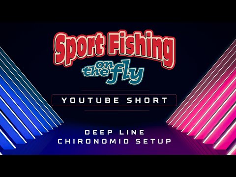 FLY FISHING SHORT: DEEP LINE CHIRONOMID SETUP WITH BRIAN CHAN