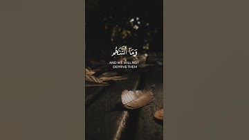 سورة الطور #رعد_الكردي