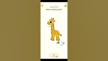 Delete Puzzle Level 313: What is hiding there?