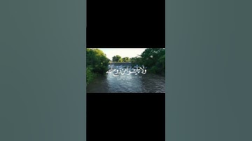 #قران يا بني اذهبوا فتحسسوا من يوسف وأخيه سورة يوسف تلاوة خاشعة 🌸 #قصيرة