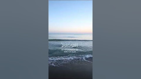 حالات واتس اب  سورة الزمر