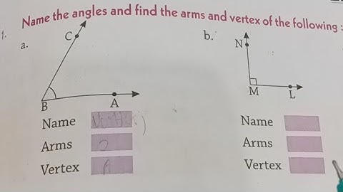 Name Angles Arms And Vertex.