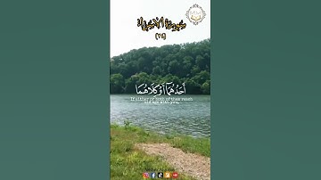ما تيسر من سوره الاسراء #انشروا_القران #quranismylife #islamicnasheed #quranverses