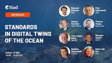 Standards in Digital Twins of the Ocean