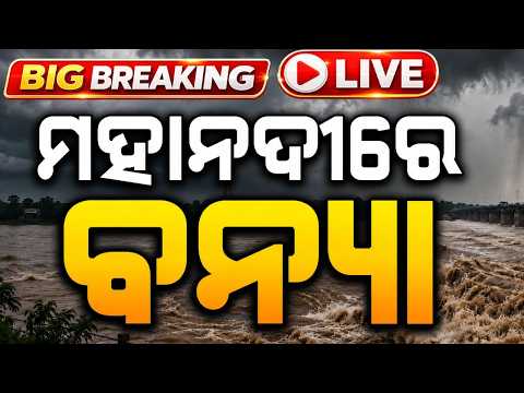🔴Big Breaking : ମାଡ଼ିଆସୁଛି ବନ୍ୟା.. Mahanadi Flood | Flood Odisha | Flood News Today | Argus News