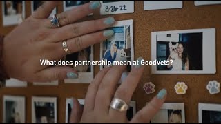 Discover Your Opportunity at GoodVets