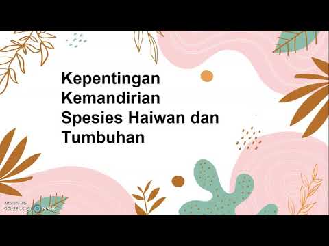 Bab 4 Part 3 Kepentingan Kemandirian Spesies Youtube