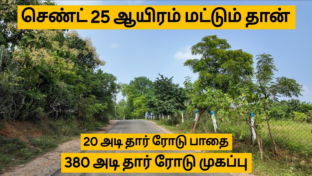 செண்ட் 25 ஆயிரம் மட்டுமே செம்மண் பூமி ✅ 380அடி தார் ரோடு முகப்புடன் விற்பனைக்கு 
