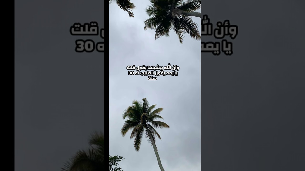 اليقين  بالله قصة واقعية على قوة اليقين وحسن الظن بالله من سنابات الإستاذة مجداء#الرحمن #اكسبلور 