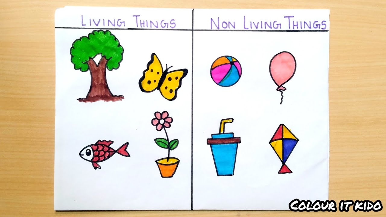 Living thing and Non Living Thing Drawing | How to draw Living ...