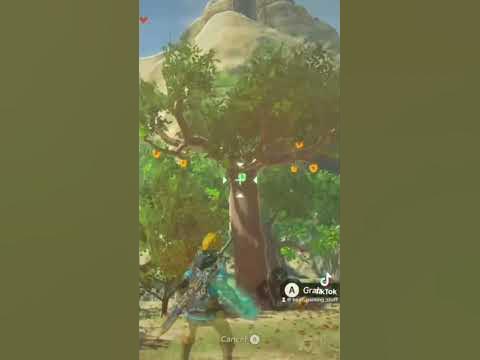 How to farm apples in TotK ! #totk #zelda #tutorial #tloz #gaming #