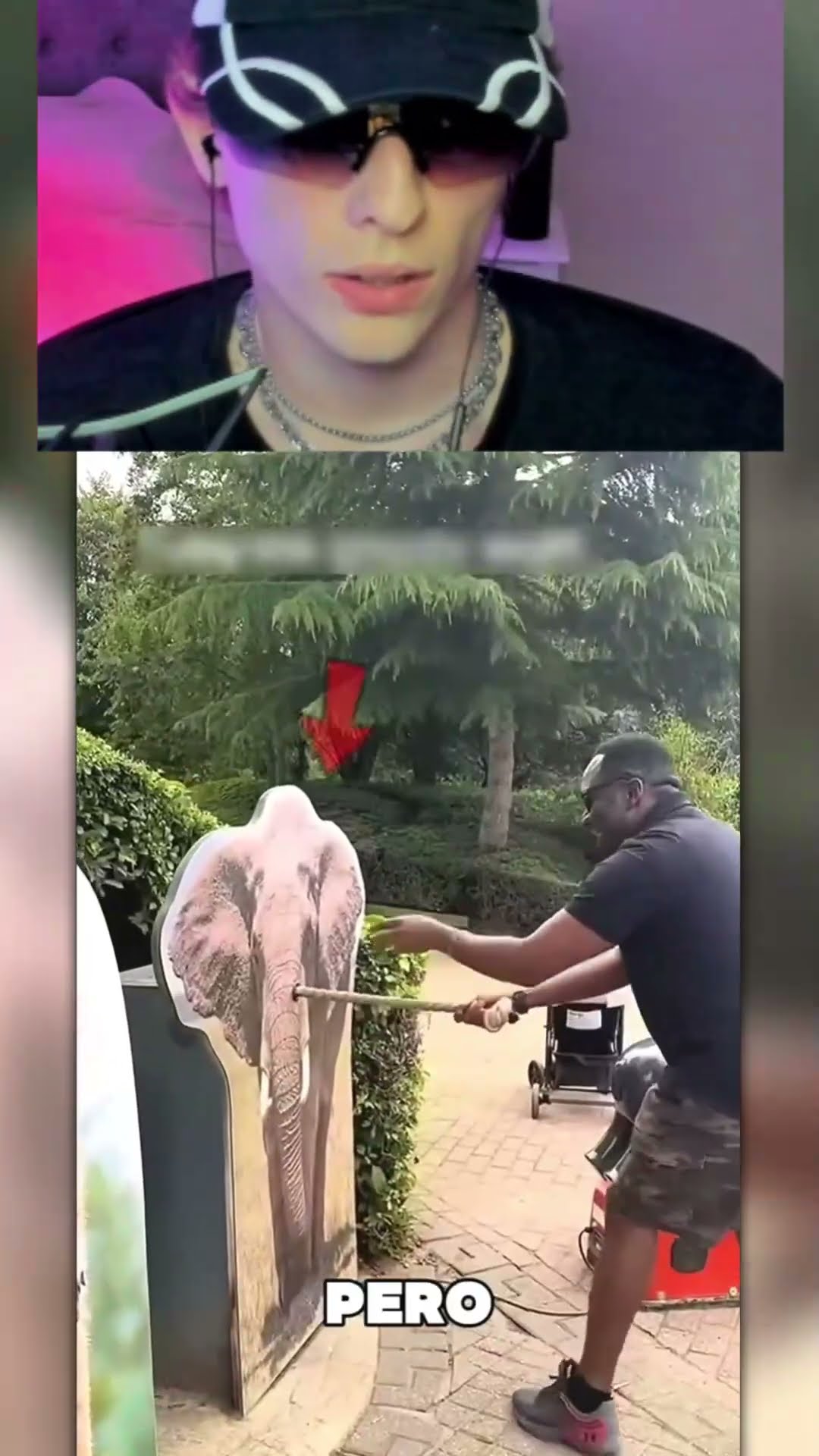 INNOVADOR invento en ZOOLOGICO?