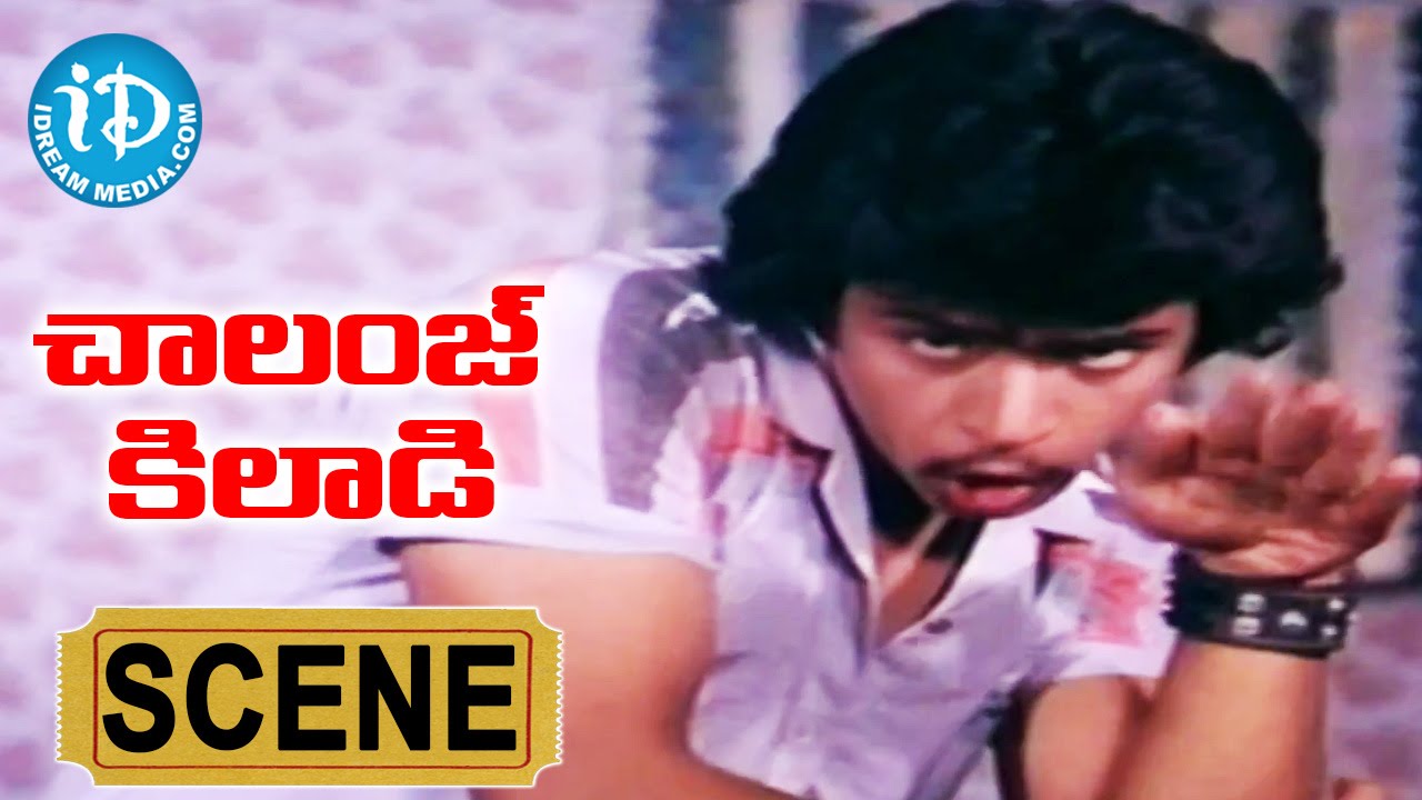 Download Challenge Khiladi Movie Scenes - Arjun and Anand Babu Fights With Goons || Arjun, Kalpana