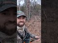 Great spot for Deer.