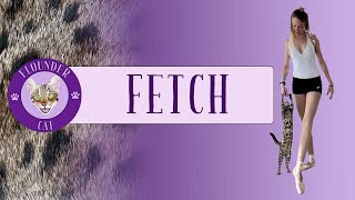 Teaching Your Cat to Play Fetch - Yes, It's Possible!