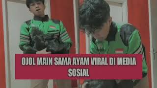 JADI INI OJOL MAIN SAMA AYAM YANG VIRAL ITU? KEREN JUGA🤣