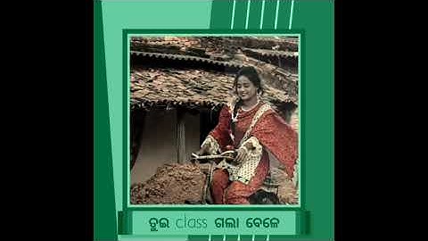 Sadhe 10 baje//new sambalpuri status // bargadia mithun