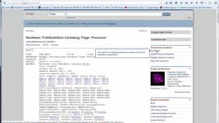 BIT001Y 2017 Bioinformatics assignment 3