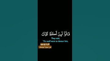 الاية 13-14من سورة يوسف #تلاوة_رائعة 🌿#تلاوة_تبث_الطمأنينة🌿#آيات_تلامس_القلوب🌿 #JamalInspire🌿#قرآن