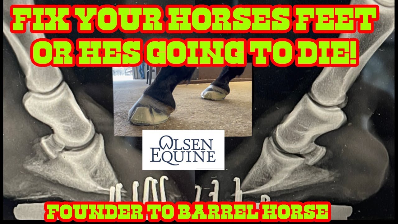 How to shoe a horse using resin - Amazingly satisfying 