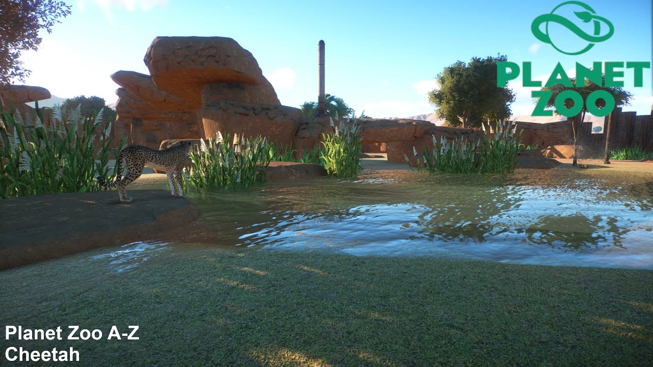 Basic Cheetah Habitat with natural barriers Zoo AZ