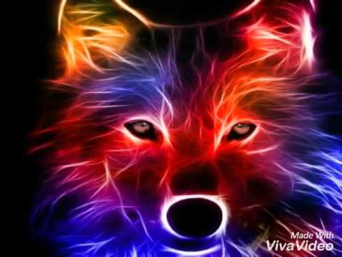 Cool pictures I found