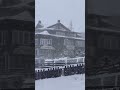 Сказочная зимняя пора наступила ❄️🤍 Волшебство вокруг нас ✨