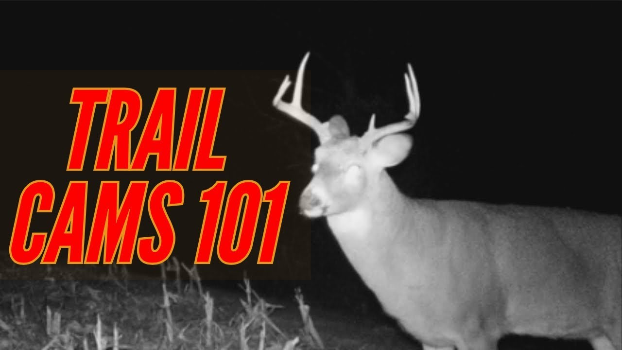 How to Properly Set Up a Trail Camera YouTube