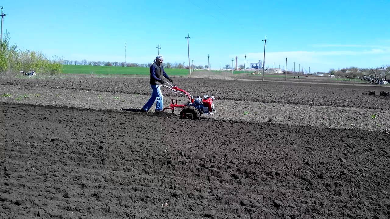 пахота голая земля монокультуре