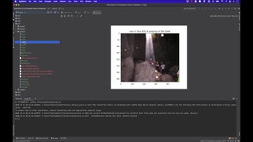 7. Captioning Images with CNNs and RNNs