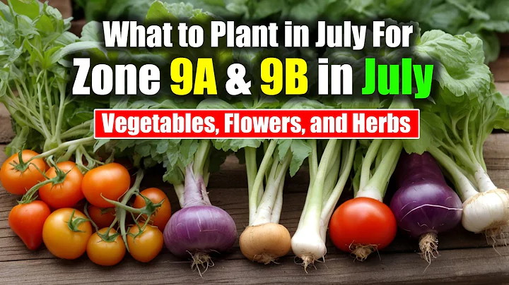 What to Plant in July For Zone 9a & 9b | Vegetables, Flowers, and Herbs
