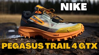 Nike Pegasus Trail 4 Gore-Tex Test : La meilleure chaussure de trail ?