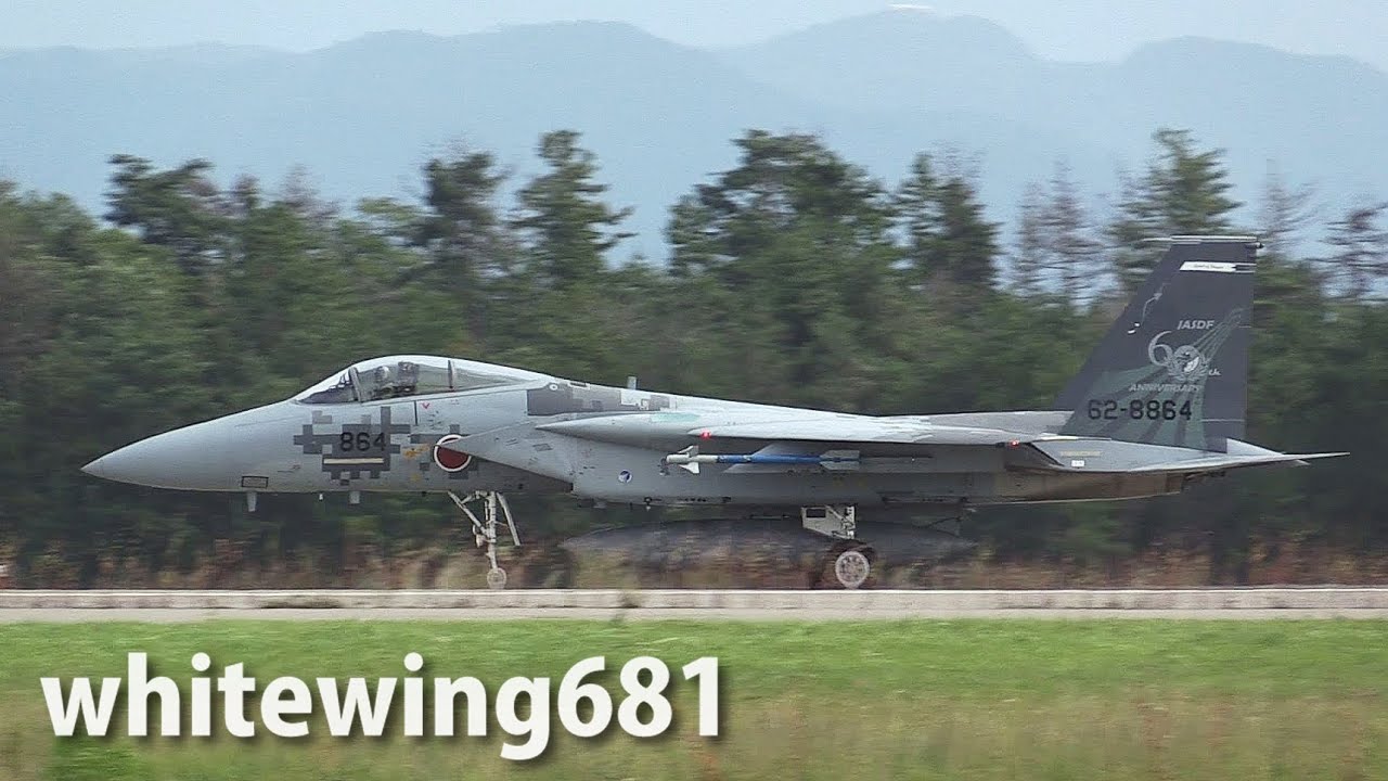 60周年記念塗装(303飛行隊)] 303TFS F-15J JASDF 60th Anniversary