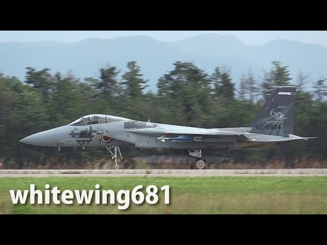 【絶版希少品】WAC 1/200 F-15J 303SQ 第303飛行隊 日本の翼コレクション WF2008夏限定版