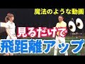 見るだけで飛距離が伸びる👀❤️元ドラコン岡本啓司さんの特別レッスン✨【前傾維持】【新発見】
