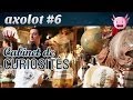 Axolot #6 : Cabinet de curiosités