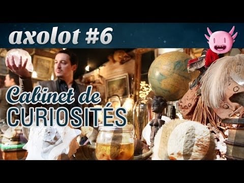 Vidéo: Qu'est-ce qu'un cabinet de curiosité ?