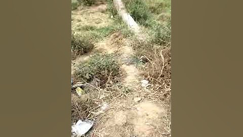 Commercial Property for sale in Patna || Parasa - Sampatchak Road || plot in Patna ||