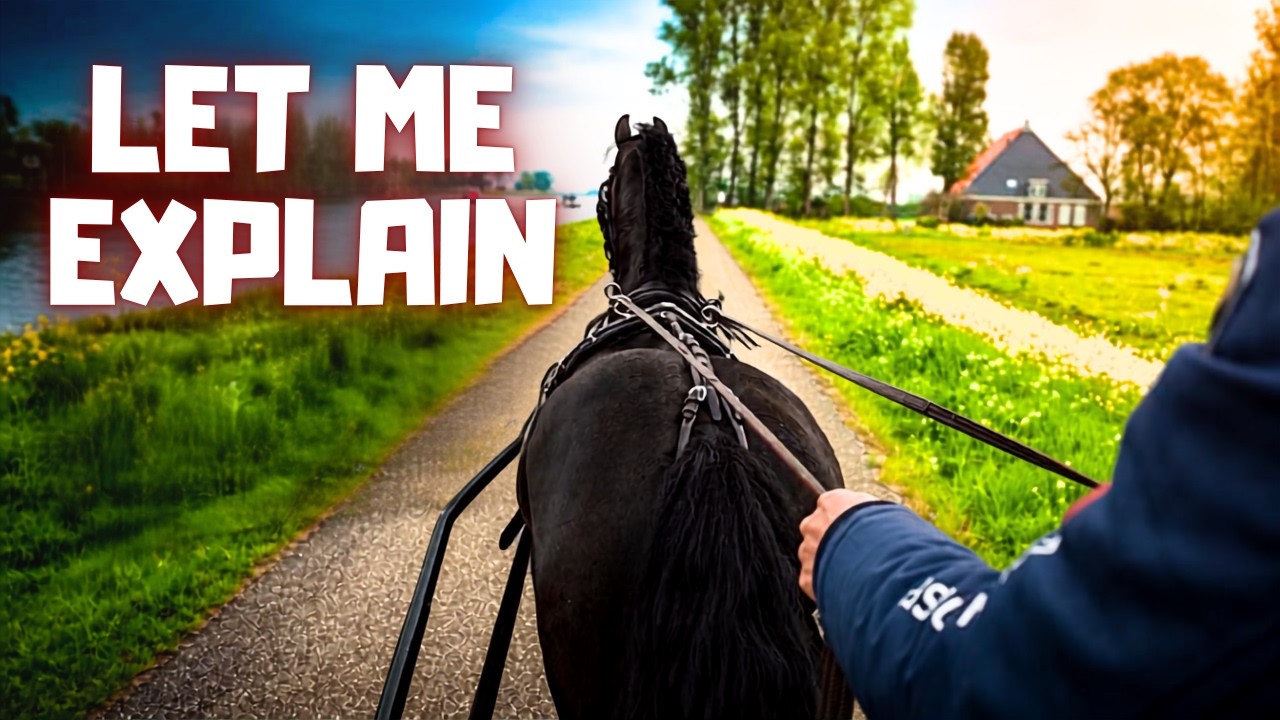 I Need to Explain This About Yfke & Me… | Teije Rein Hits the Road! | Friesian Horses