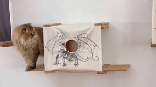 New in the shop! Cat Cubbies by Catastrophic Creations 2,172 views 3 years ago 1 minute