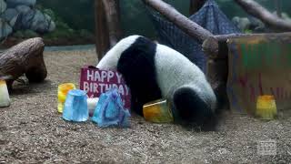 Ya Lun and Xi Lun 4th Birthday