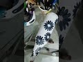 beer bottle decoration with colours//glass bottle art ideas